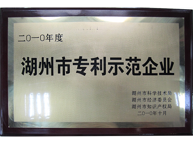 2010湖州市專(zhuān)利示范企業(yè)